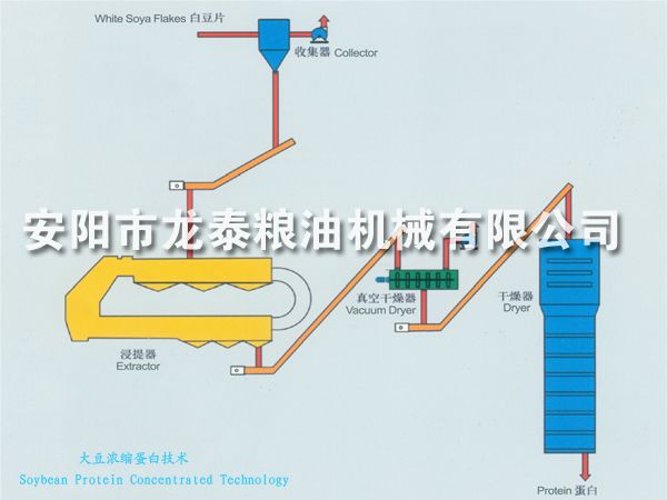 大豆?jié)饪s蛋白和分離蛋白技術(shù)
